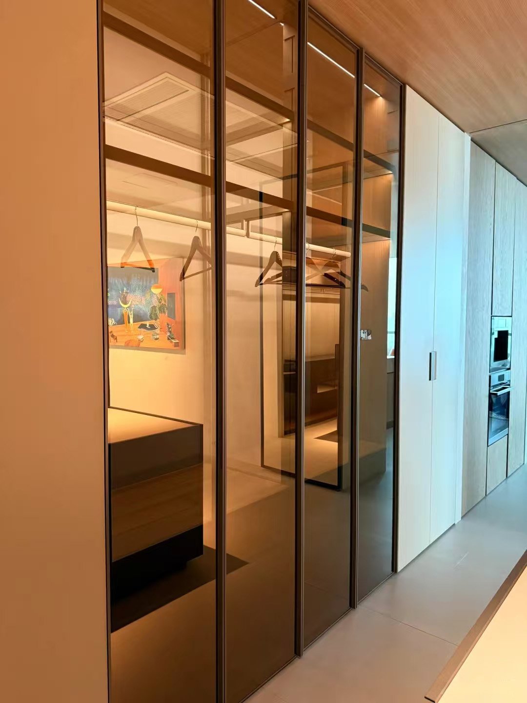 Aluminum-Frame Glass Walk-In Closet System - Image 4