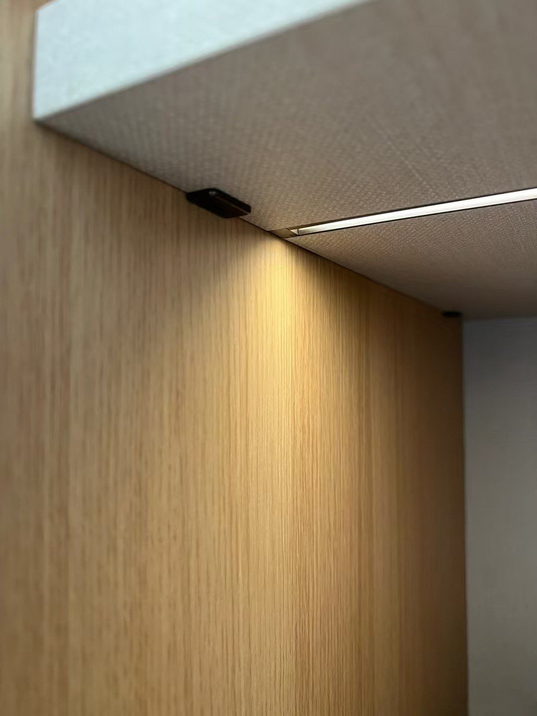 Porro-Style Master Bedroom Partition Wardrobe - Image 8