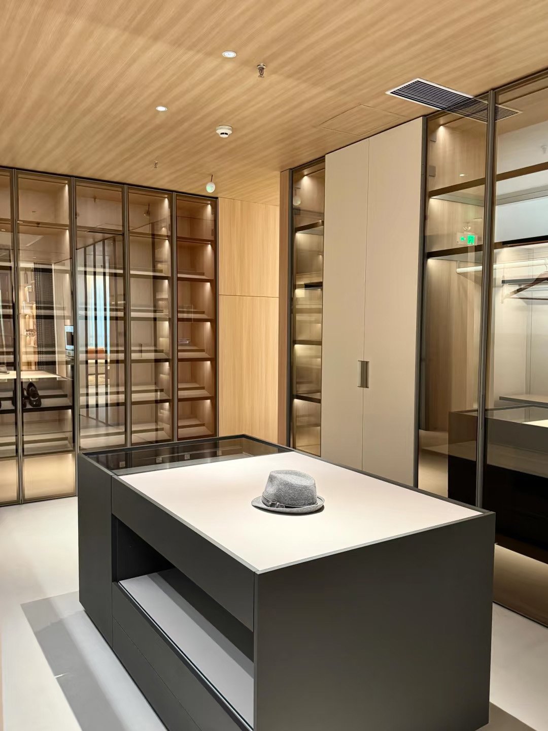 Aluminum-Frame Glass Walk-In Closet System - Image 3