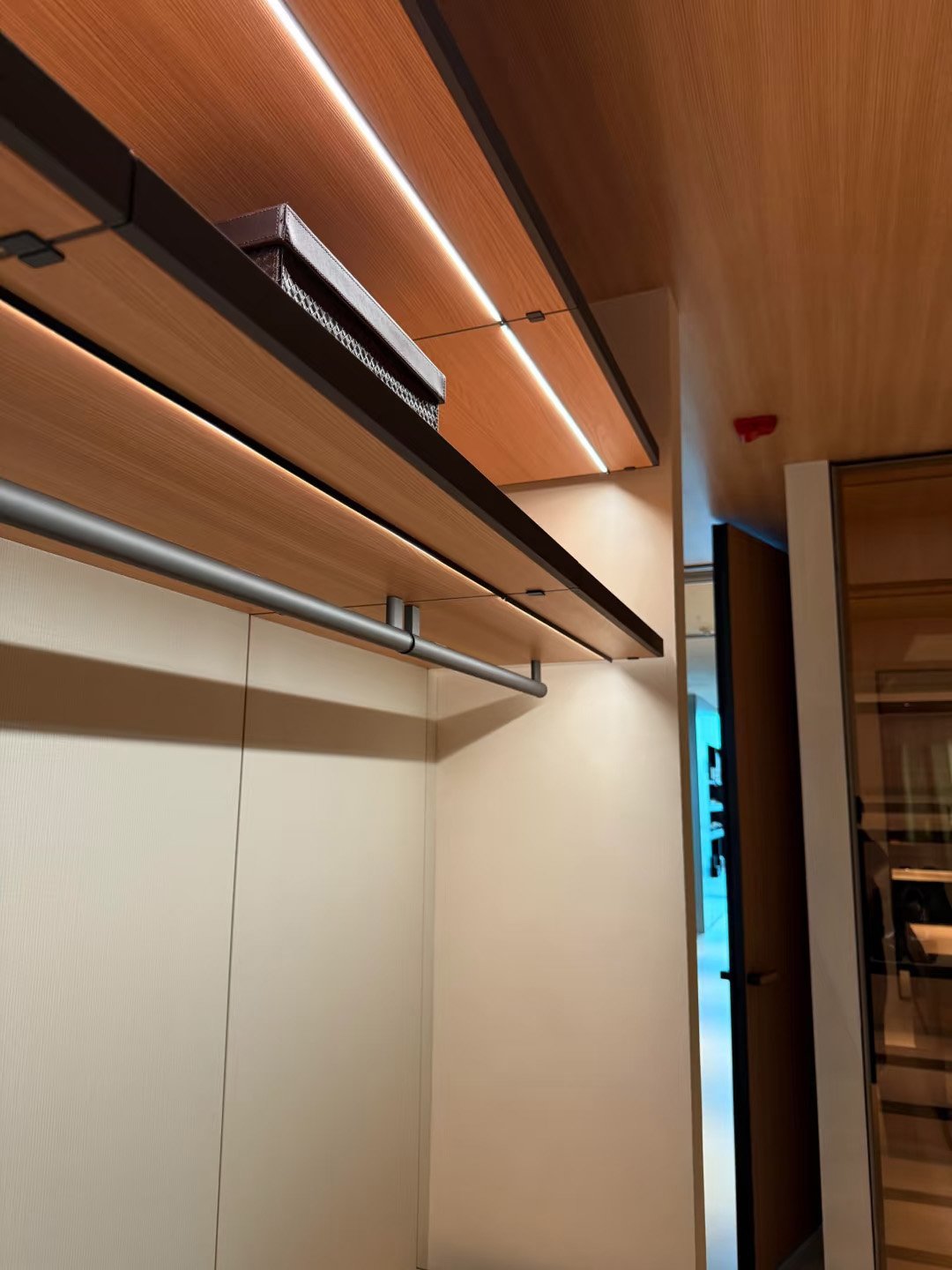 Aluminum-Frame Glass Walk-In Closet System - Image 9