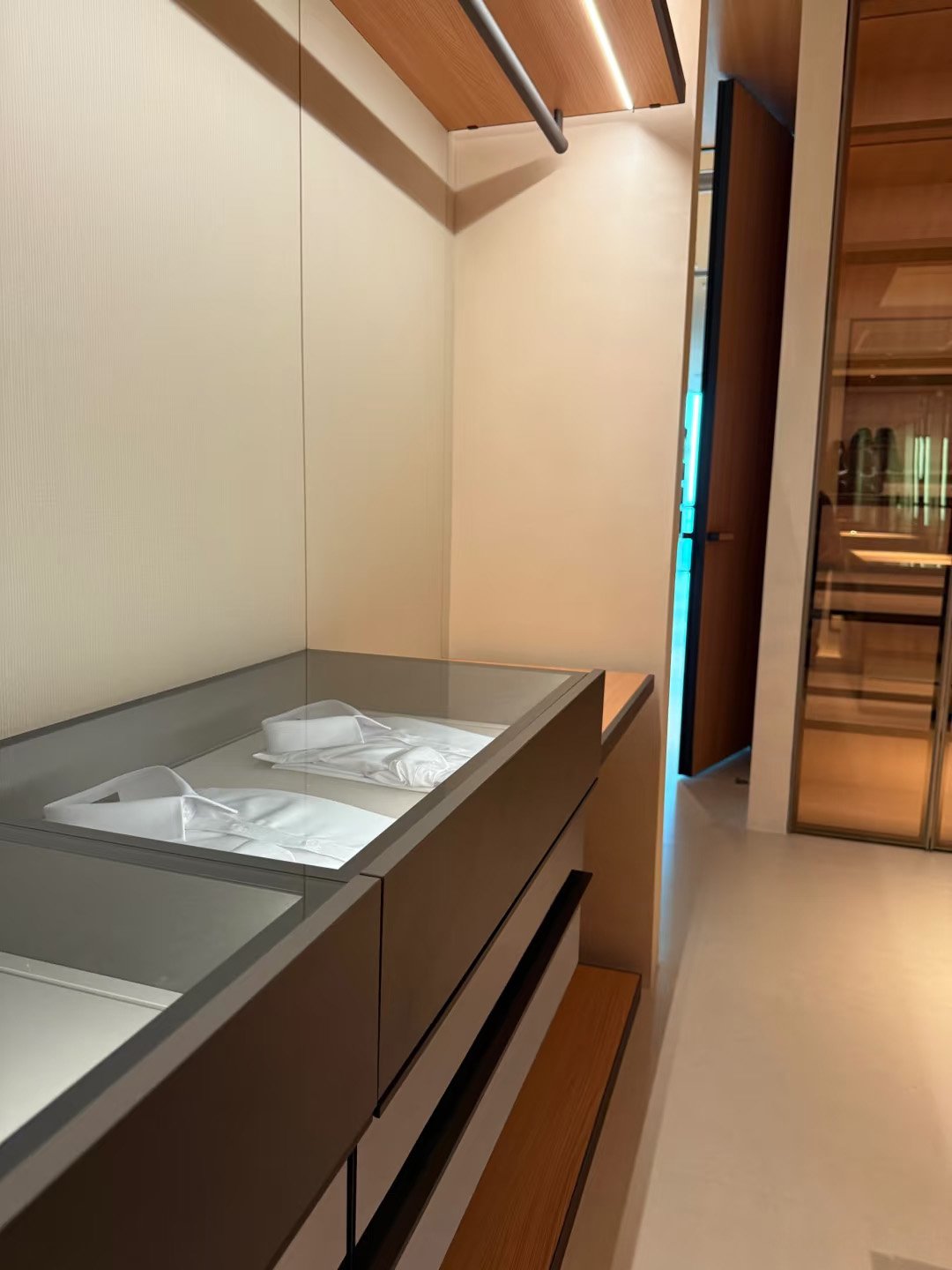 Aluminum-Frame Glass Walk-In Closet System - Image 10