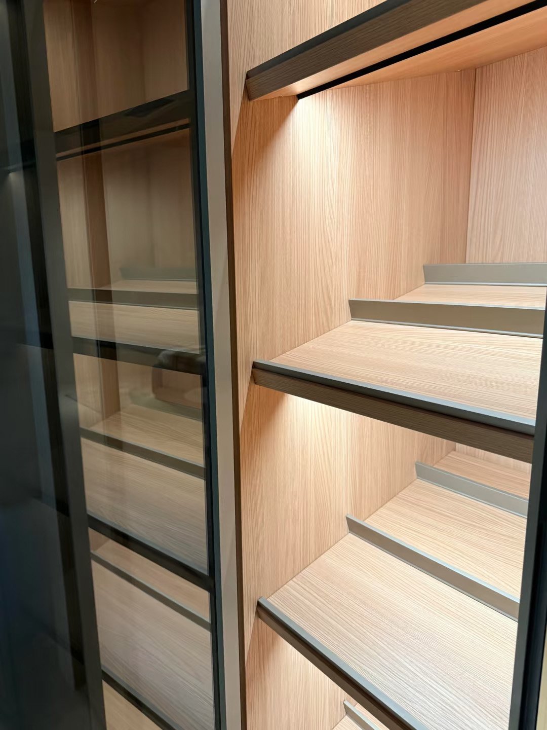 Aluminum-Frame Glass Walk-In Closet System - Image 11